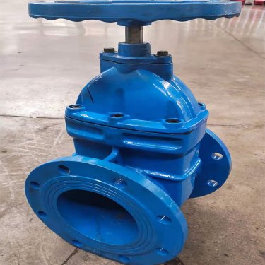 简单介绍软密封闸阀的规格性能